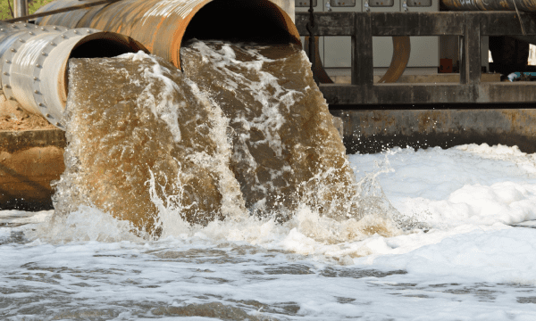 Nước thải công nghiệp nhiễm lượng kim loại nặng cực lớn
