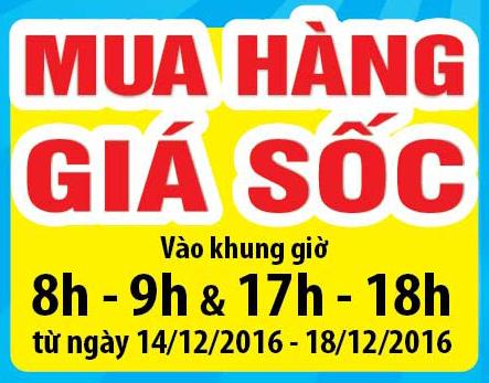 gio-vang-gia-sock