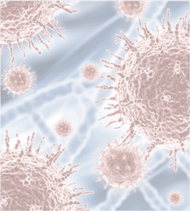Tăng khả năng tái nhiễm khuẩn: virus, ion kim loại độc hại...