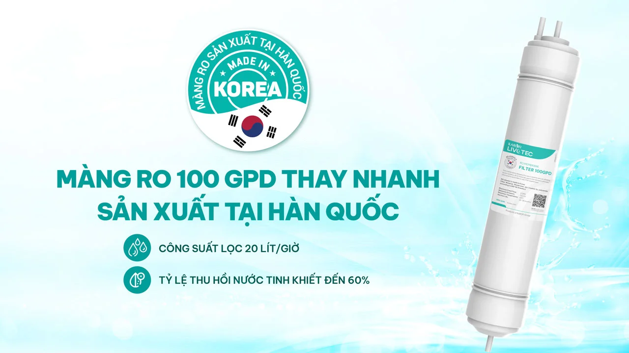 Máy lọc nước nóng lạnh Karofi Livotec 628