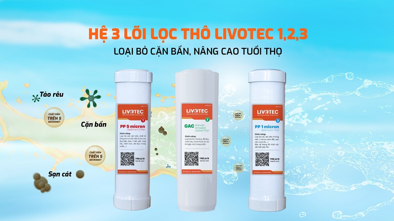 Máy lọc nước Karofi Livotec 216