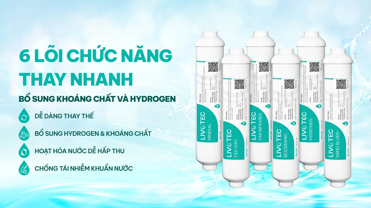 Máy lọc nước Karofi Livotec 608