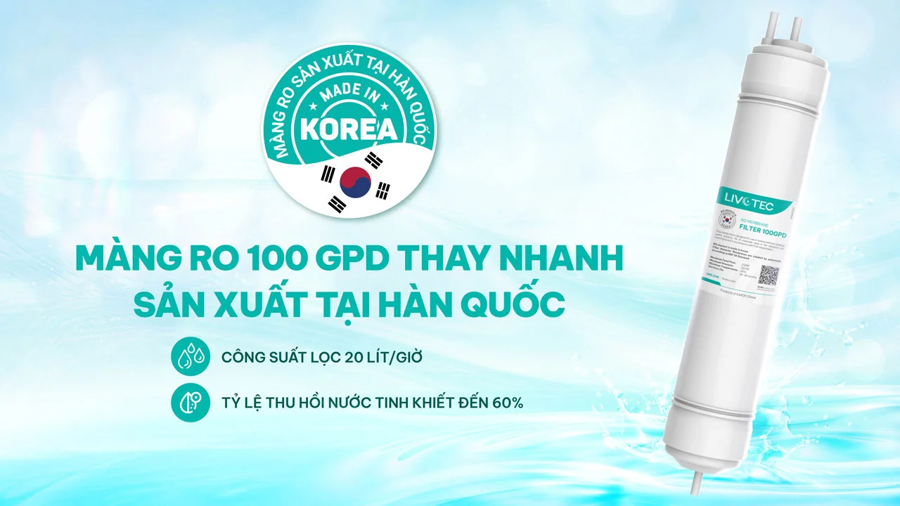 Máy lọc nước Karofi Livotec 608