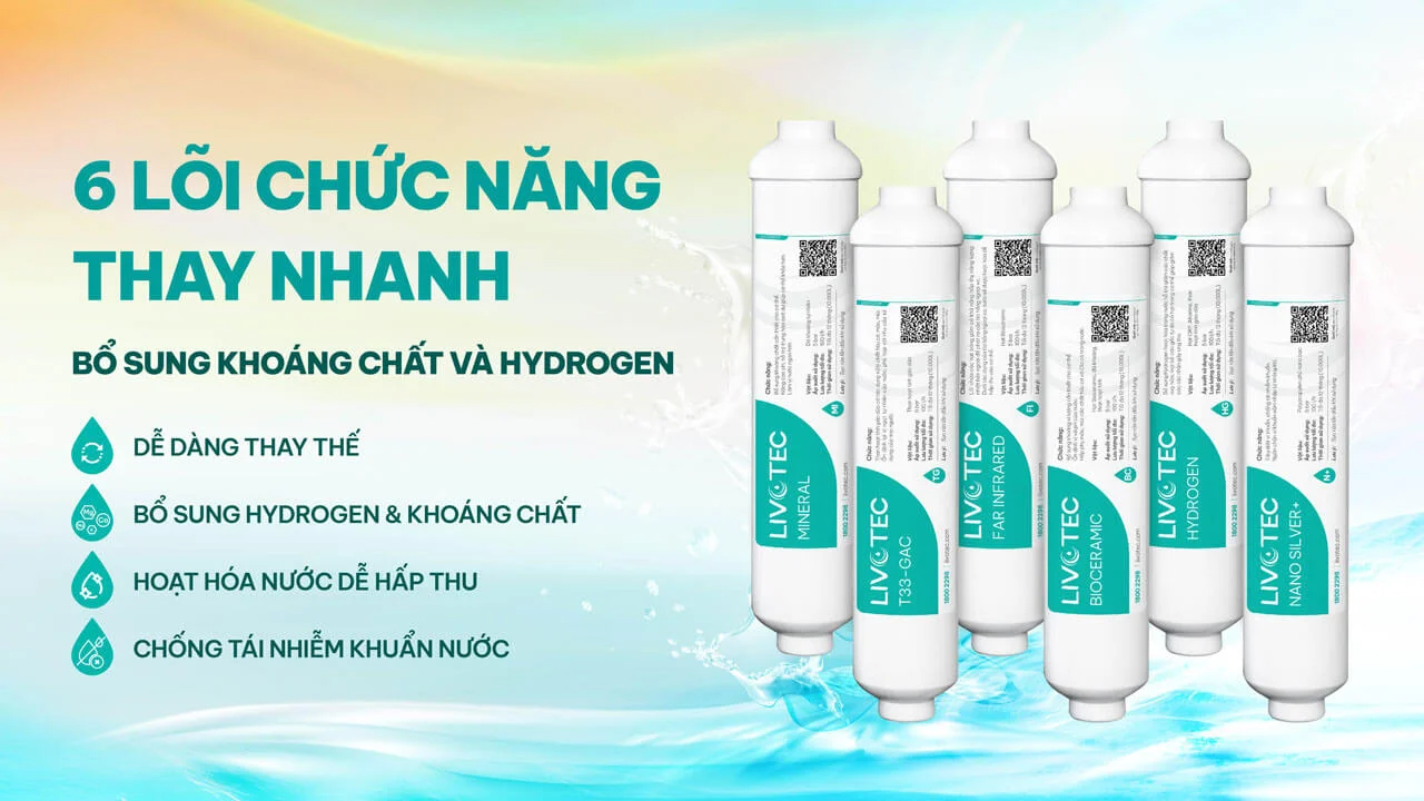 Máy lọc nước nóng lạnh Karofi Livotec 636