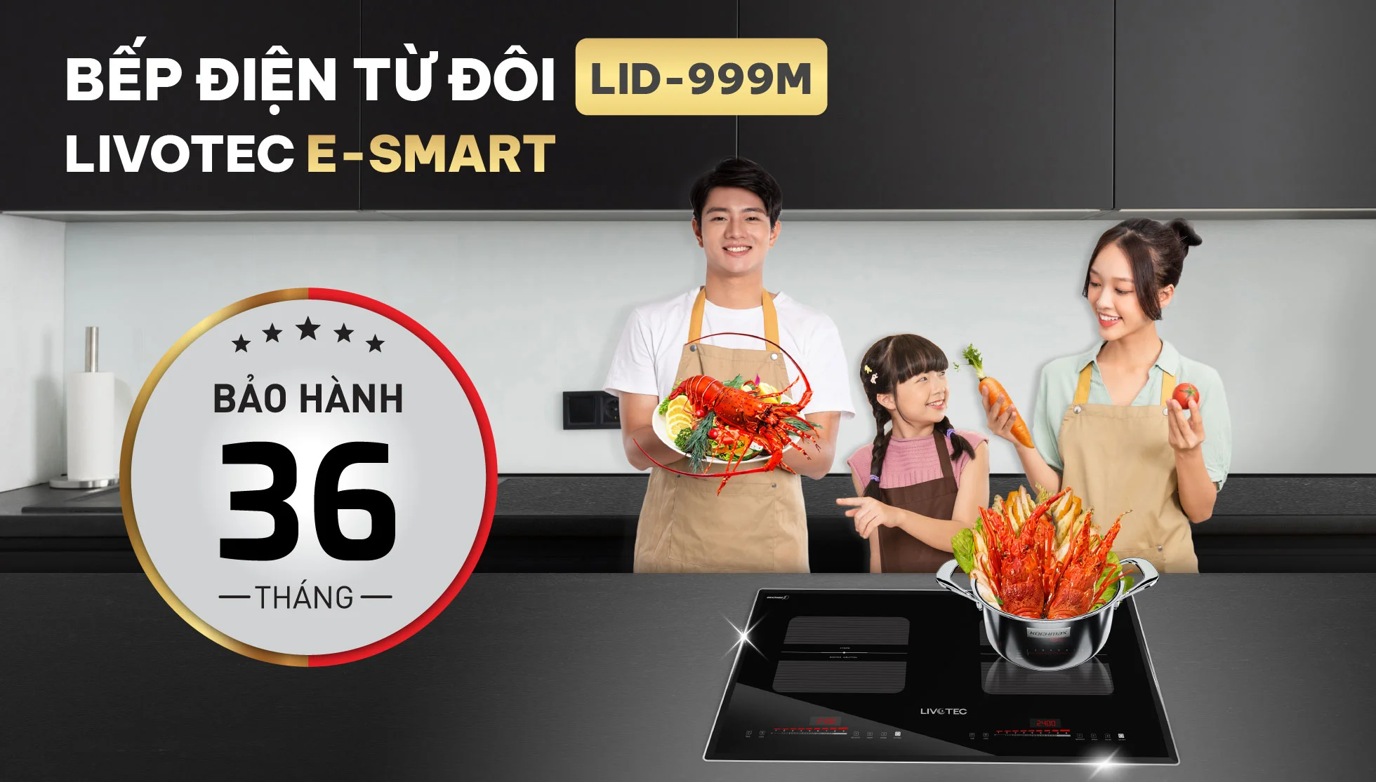 Bếp từ đôi Livotec E-Smart LID-999M