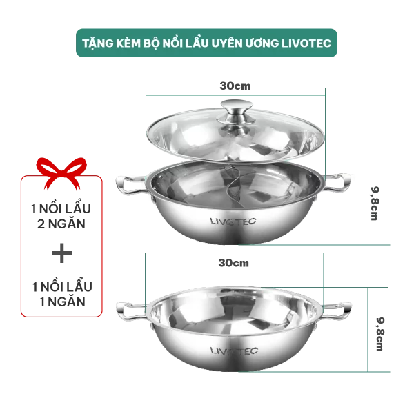 Bếp từ đơn Livotec E-smart LIS-646