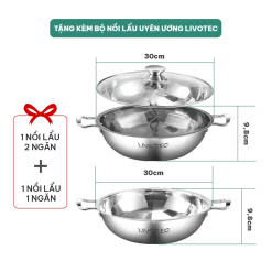 Bếp từ đơn Livotec E-smart LIS-626