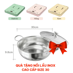 Bếp từ đơn Livotec E-Smart LIS-560