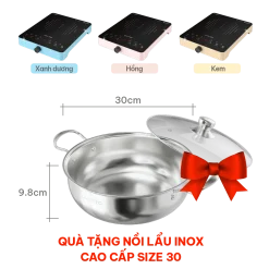 Bếp từ đơn Livotec E-Smart LIS-660