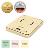 Bếp từ đơn Livotec E-Smart LIS-560