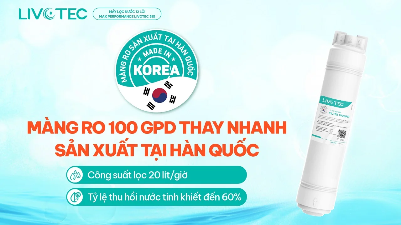 Máy lọc nước RO Livotec 818