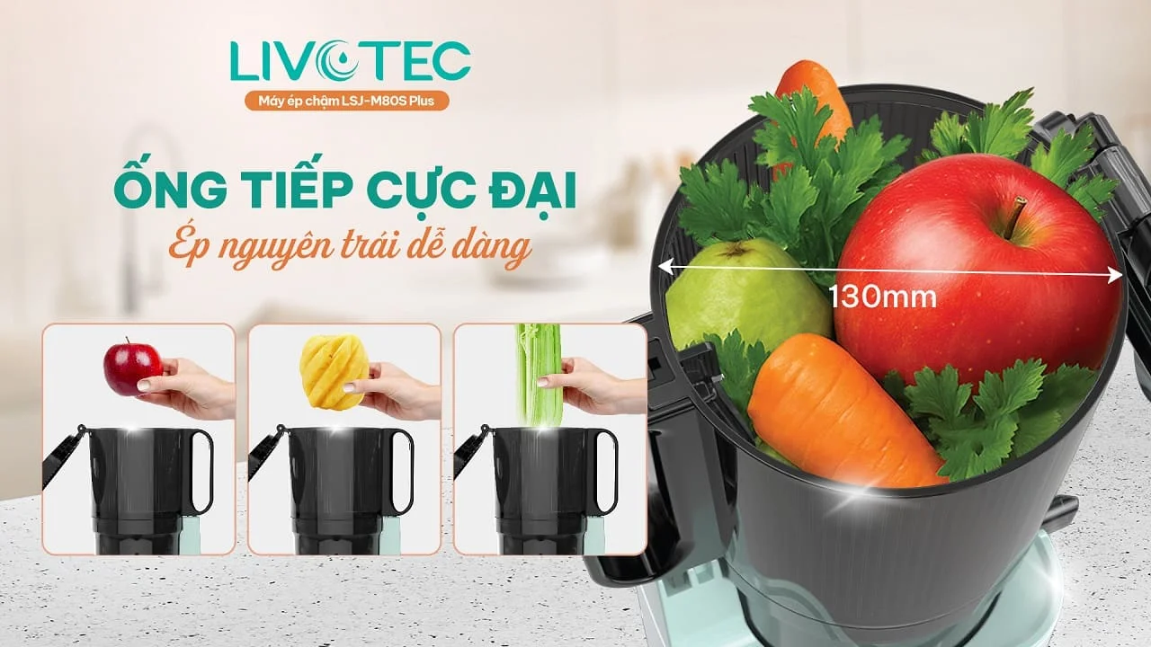 Máy ép chậm Livotec LSJ-M80S Plus