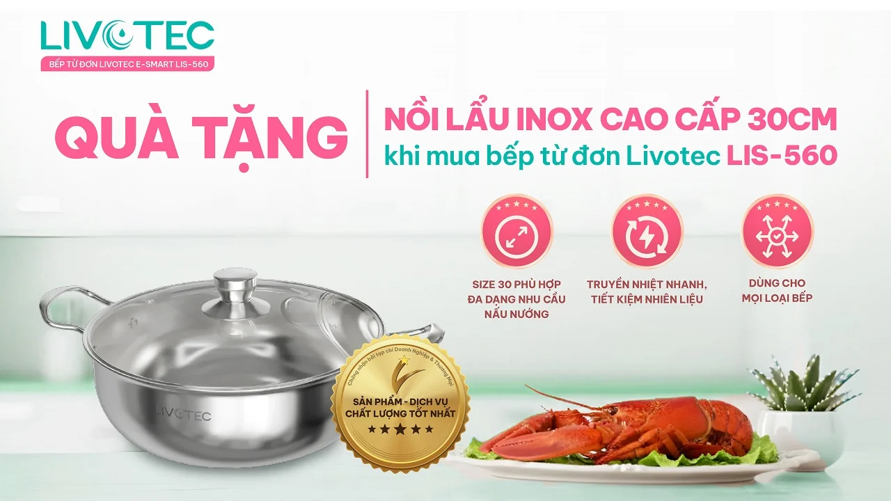 Bếp từ đơn Livotec E-Smart LIS-560
