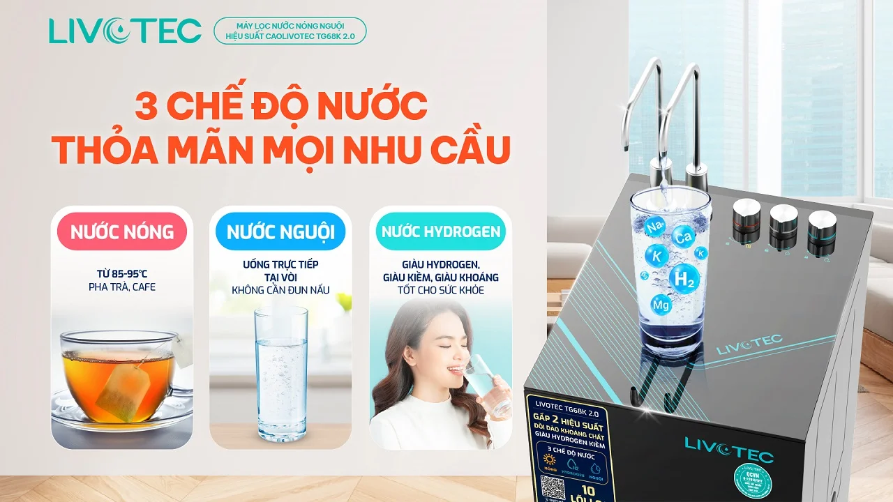 Máy lọc nước nóng nguội Livotec TG68K 2.0