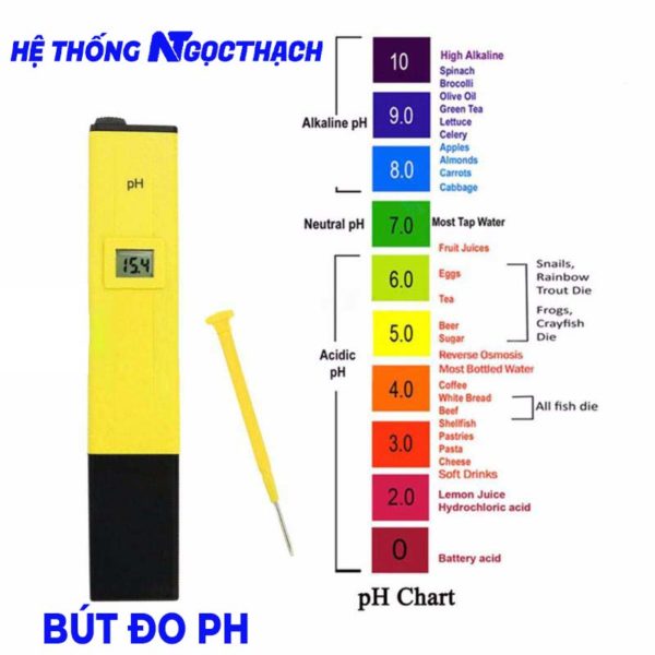 Bút đo PH