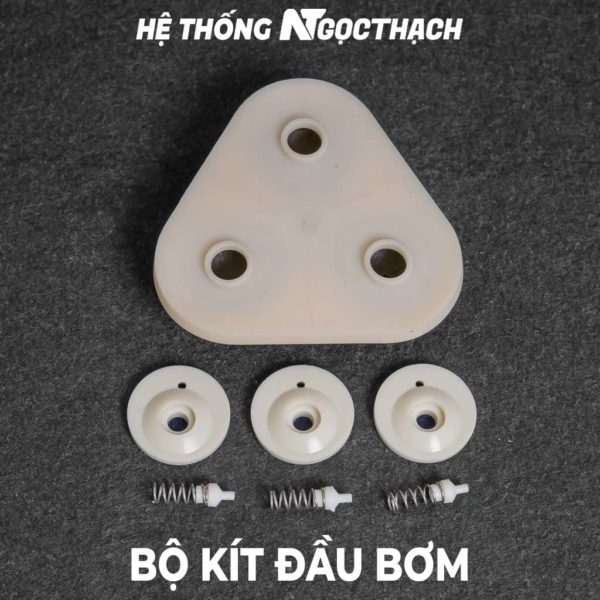 Bộ kít đầu bơm máy lọc nước