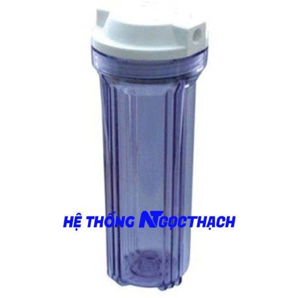 Cốc trong 10 Inch Ren 13/21