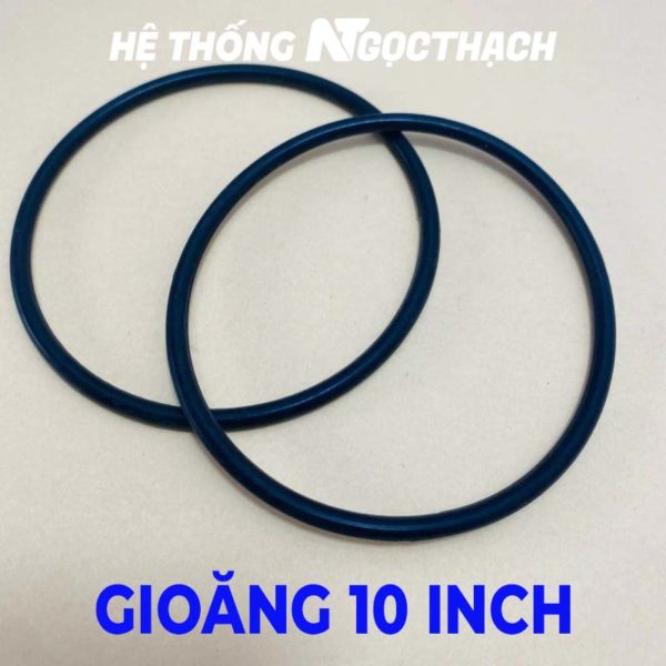 Gioăng 10 inch, Gioăng cao su cốc lọc 10 inch