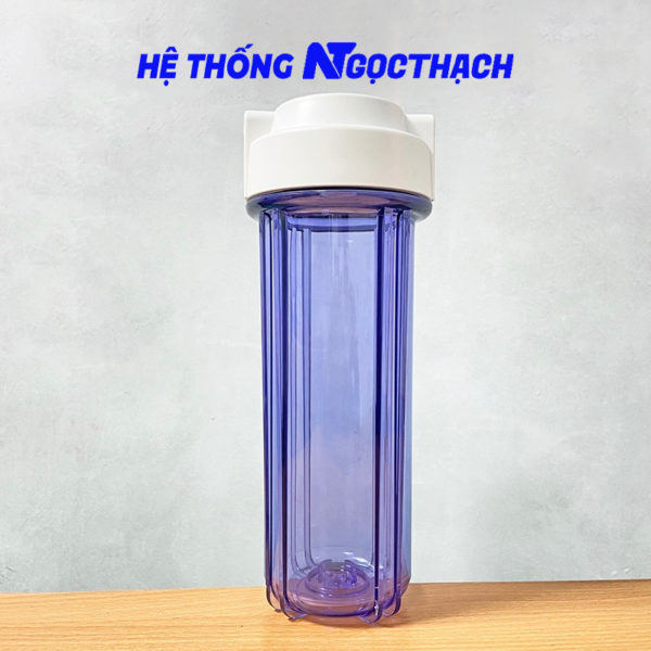 Cốc trong 10 Inch Ren 13/21