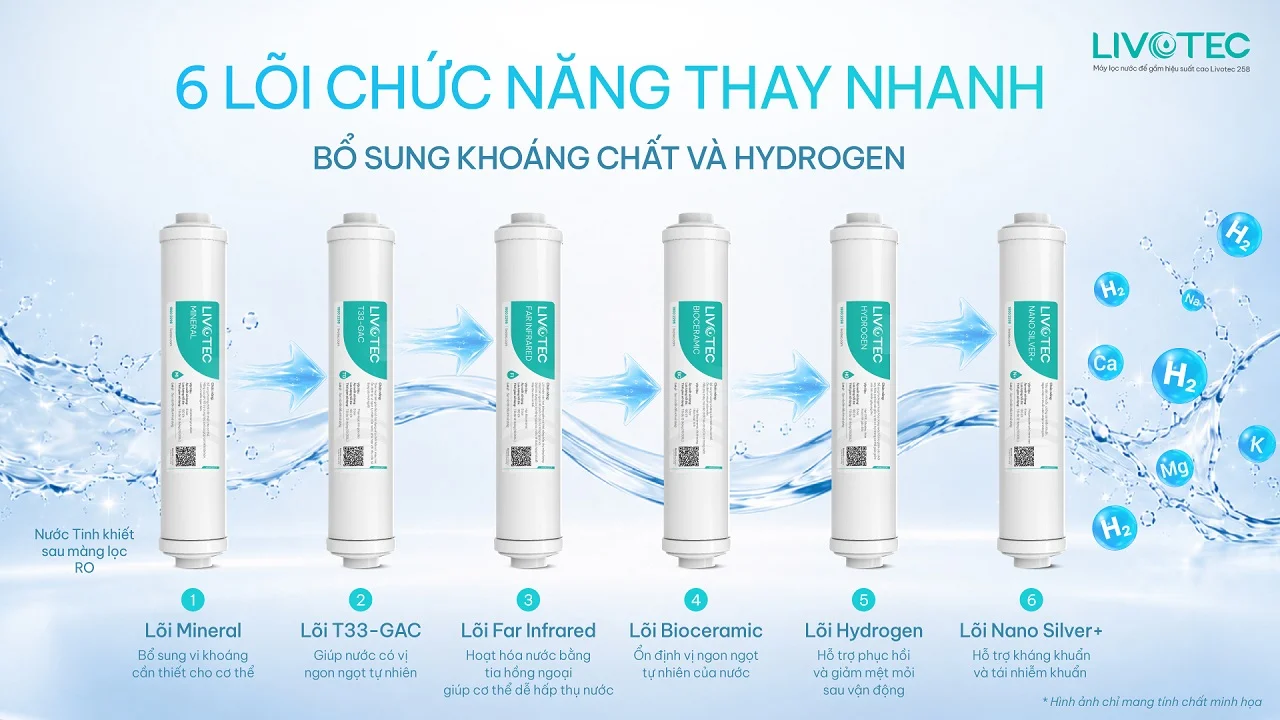Máy lọc nước để gầm Livotec 258