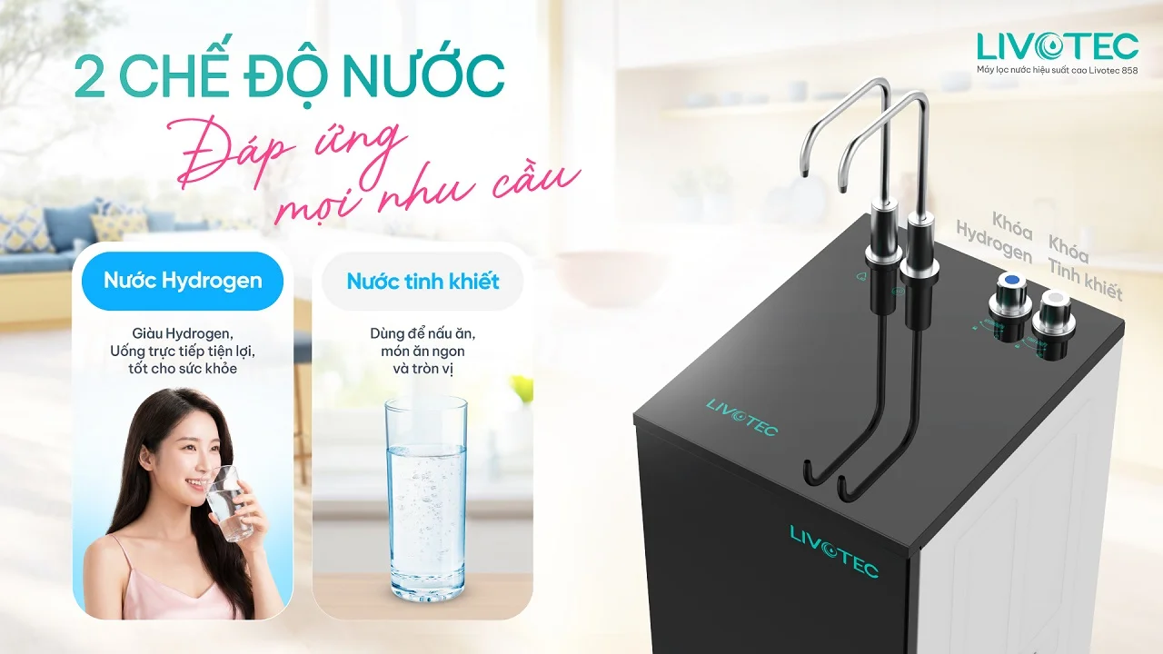 Máy lọc nước Livotec 858