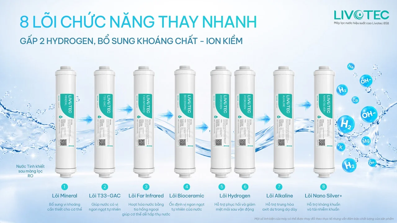 Máy lọc nước Livotec 858