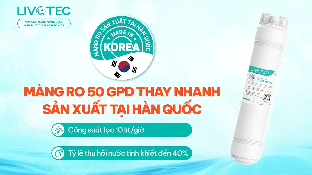 Máy lọc nước nóng lạnh Livotec 612S